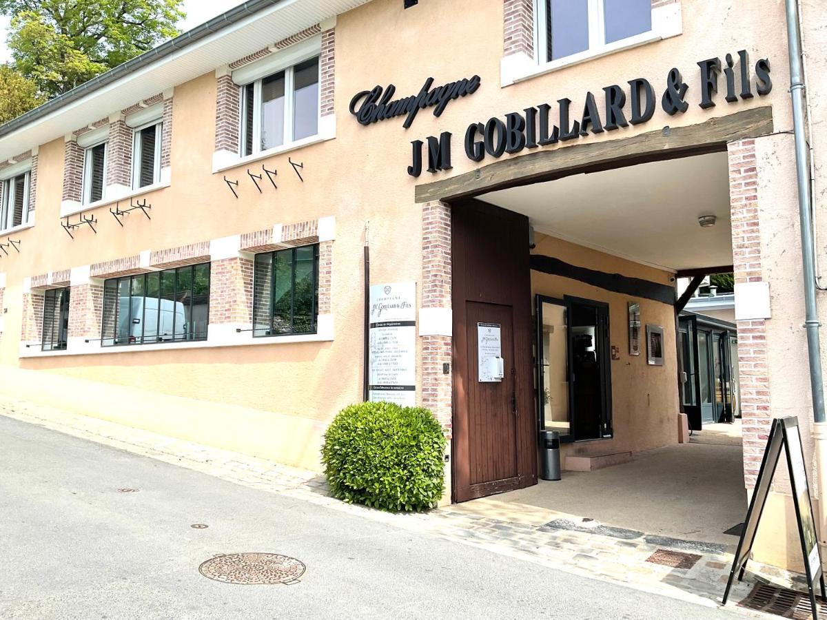 Les Loges Du Theatre Degustation Champagne Offerte Jacuzzi Sauna Jeux Velos Maison Prive 150M2 Historique 14Pers Max Emplacement Exceptionnel Et Chic, 200M De L'Avenue De Champagne, Gare, Musee, Jardins, Restaurations, Toutes Commodites Épernay Zewnętrze zdjęcie