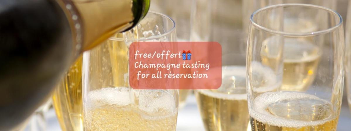 Les Loges Du Theatre Degustation Champagne Offerte Jacuzzi Sauna Jeux Velos Maison Prive 150M2 Historique 14Pers Max Emplacement Exceptionnel Et Chic, 200M De L'Avenue De Champagne, Gare, Musee, Jardins, Restaurations, Toutes Commodites Épernay Zewnętrze zdjęcie
