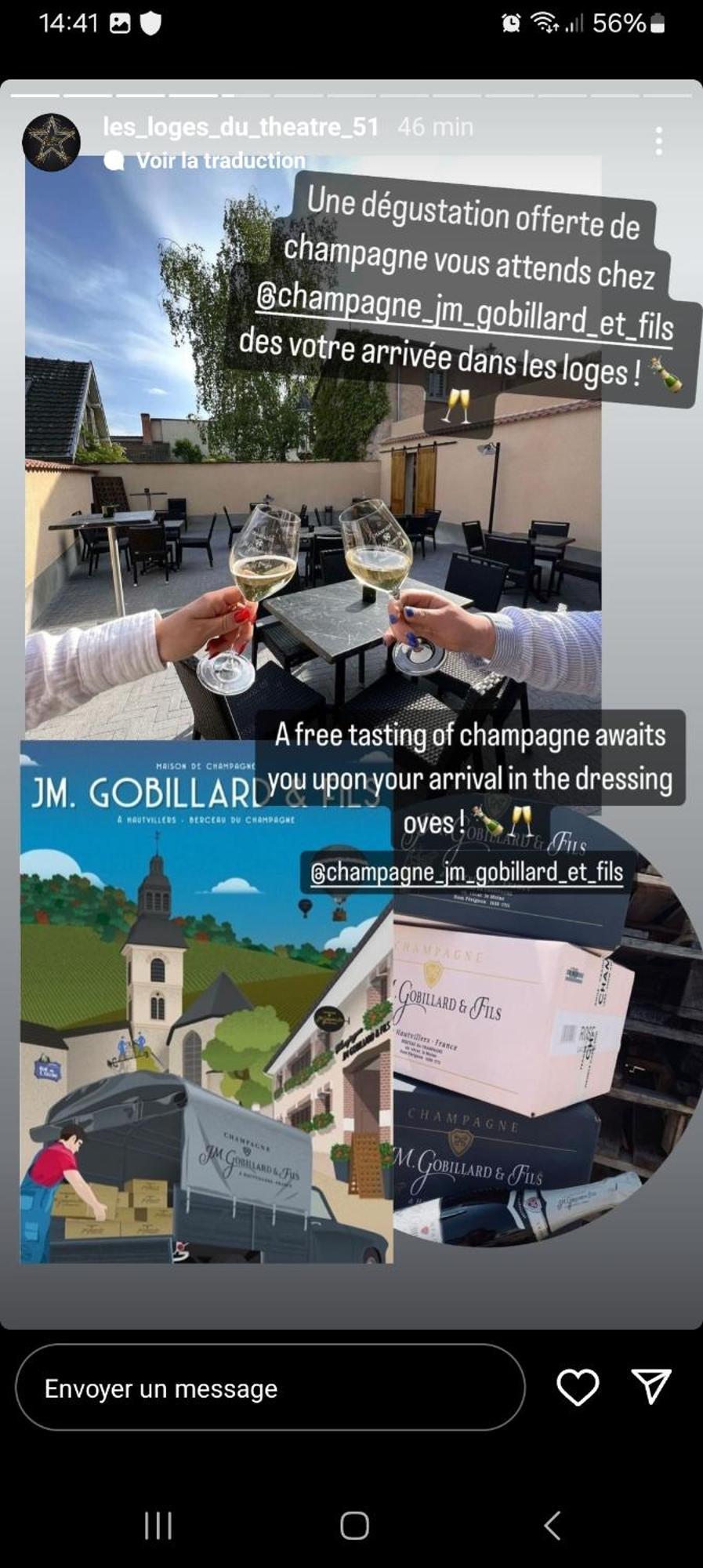 Les Loges Du Theatre Degustation Champagne Offerte Jacuzzi Sauna Jeux Velos Maison Prive 150M2 Historique 14Pers Max Emplacement Exceptionnel Et Chic, 200M De L'Avenue De Champagne, Gare, Musee, Jardins, Restaurations, Toutes Commodites Épernay Zewnętrze zdjęcie