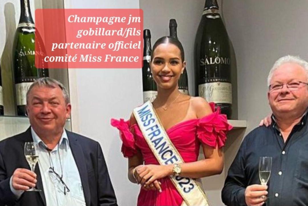 Les Loges Du Theatre Degustation Champagne Offerte Jacuzzi Sauna Jeux Velos Maison Prive 150M2 Historique 14Pers Max Emplacement Exceptionnel Et Chic, 200M De L'Avenue De Champagne, Gare, Musee, Jardins, Restaurations, Toutes Commodites Épernay Zewnętrze zdjęcie