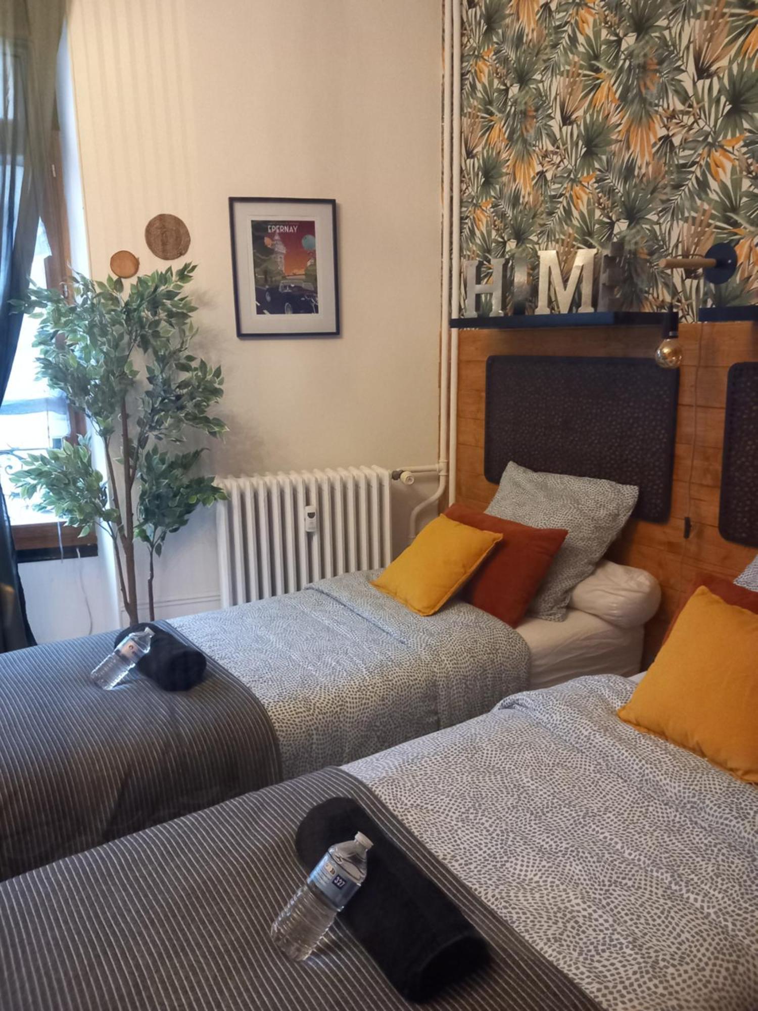 Les Loges Du Theatre Degustation Champagne Offerte Jacuzzi Sauna Jeux Velos Maison Prive 150M2 Historique 14Pers Max Emplacement Exceptionnel Et Chic, 200M De L'Avenue De Champagne, Gare, Musee, Jardins, Restaurations, Toutes Commodites Épernay Zewnętrze zdjęcie