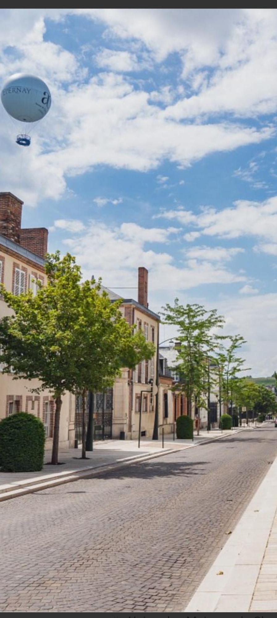 Les Loges Du Theatre Degustation Champagne Offerte Jacuzzi Sauna Jeux Velos Maison Prive 150M2 Historique 14Pers Max Emplacement Exceptionnel Et Chic, 200M De L'Avenue De Champagne, Gare, Musee, Jardins, Restaurations, Toutes Commodites Épernay Zewnętrze zdjęcie